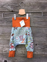 Load image into Gallery viewer, Harem